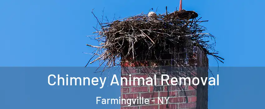  Chimney Animal Removal Farmingville - NY