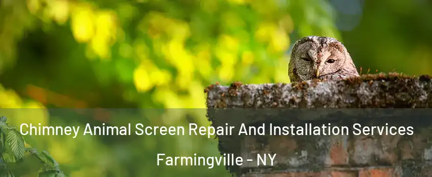  Chimney Animal Screen Repair And Installation Services Farmingville - NY