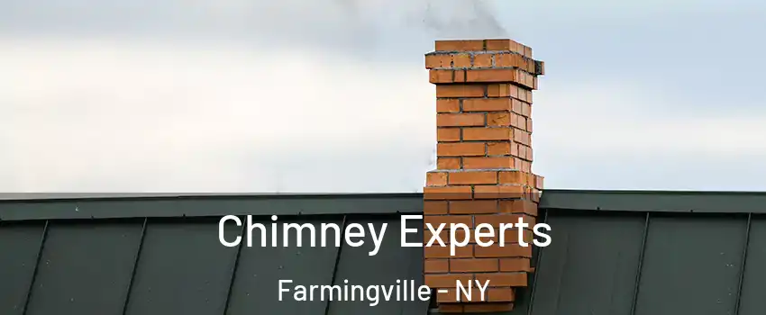  Chimney Experts Farmingville - NY