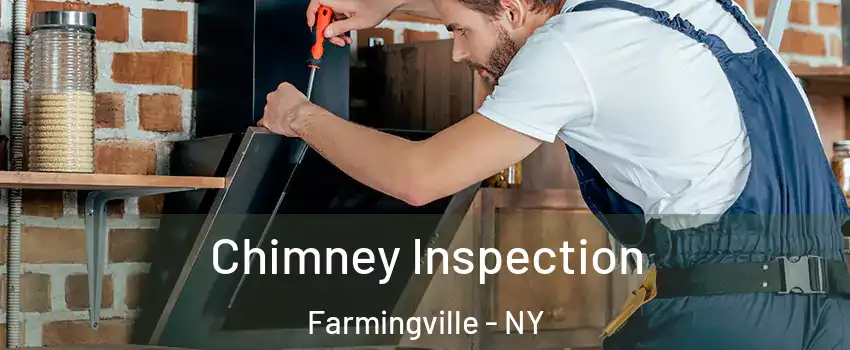 Chimney Inspection Farmingville - NY