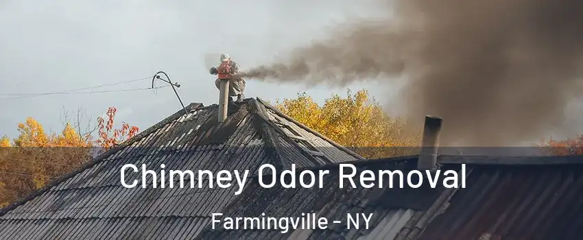  Chimney Odor Removal Farmingville - NY