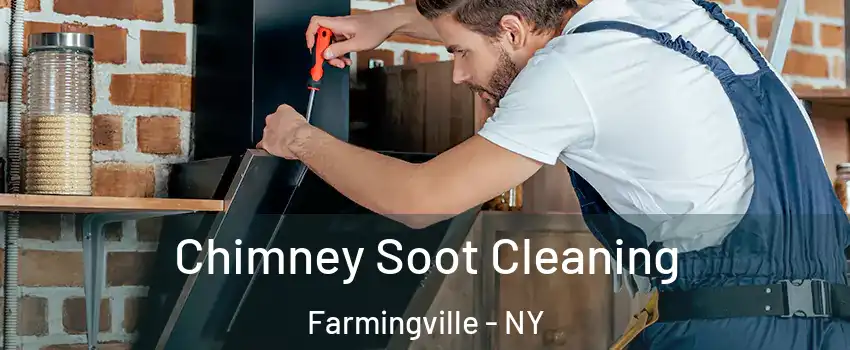  Chimney Soot Cleaning Farmingville - NY