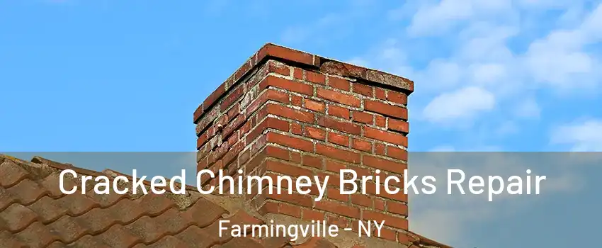  Cracked Chimney Bricks Repair Farmingville - NY