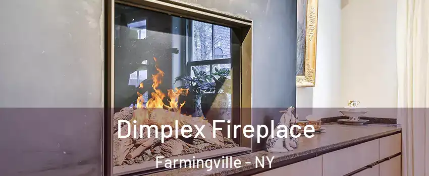  Dimplex Fireplace Farmingville - NY