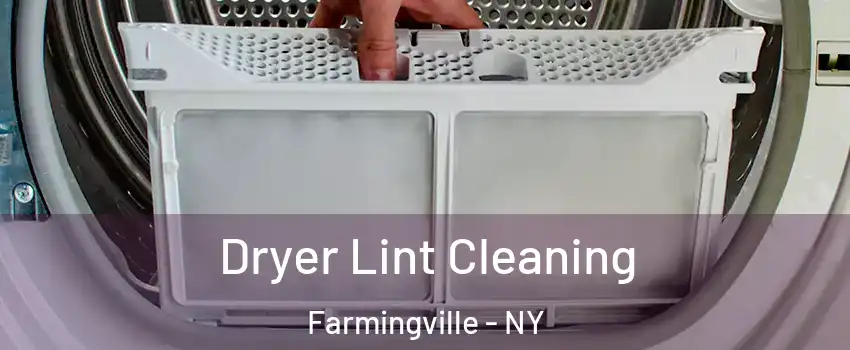 Dryer Lint Cleaning Farmingville - NY