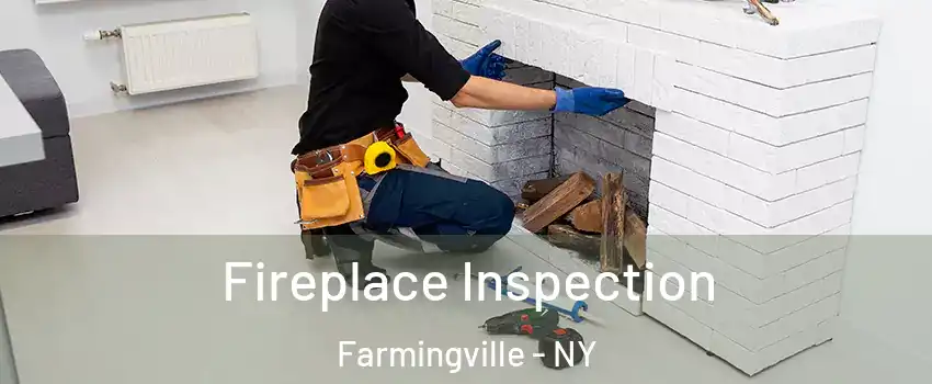  Fireplace Inspection Farmingville - NY