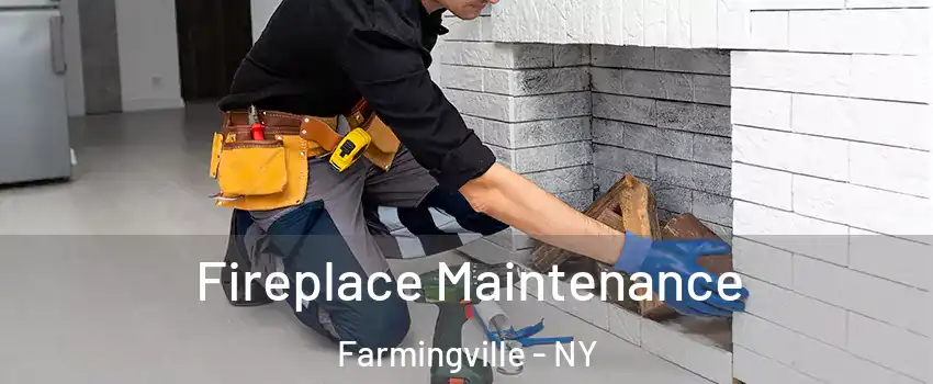  Fireplace Maintenance Farmingville - NY