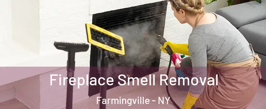  Fireplace Smell Removal Farmingville - NY