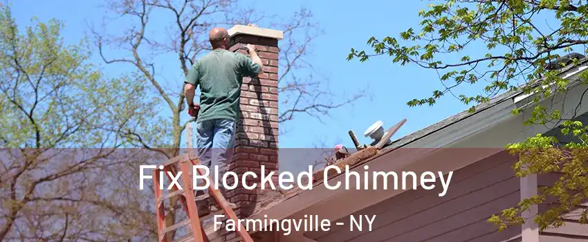 Fix Blocked Chimney Farmingville - NY