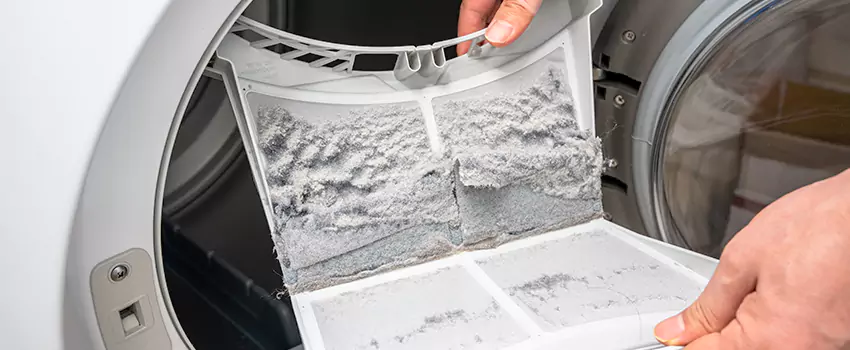 Best Dryer Lint Removal Company in Farmingville, New York