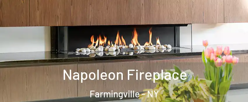  Napoleon Fireplace Farmingville - NY