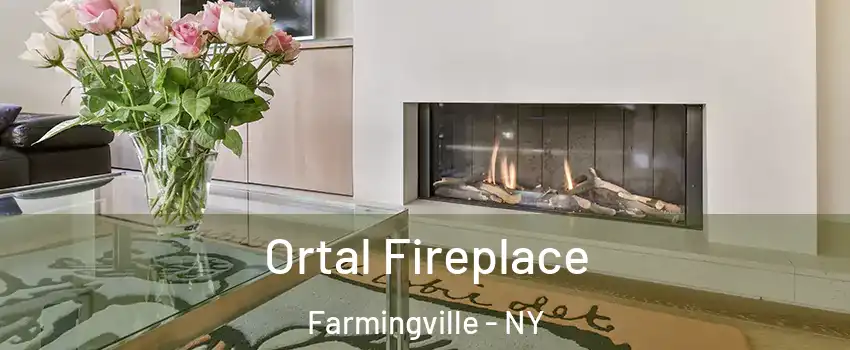  Ortal Fireplace Farmingville - NY